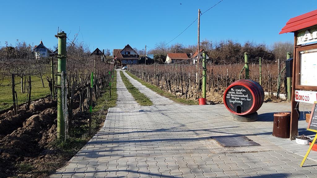 Villa Nora Hévíz 외부 사진